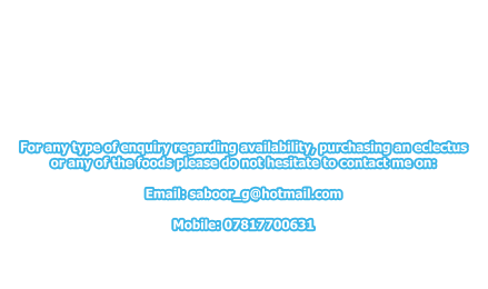 For any type of enquiry regarding availability, purchasing an eclectus or any of the foods please do not hesitate to contact me on:  Email: saboor_g@hotmail.com  Mobile: 07817700631