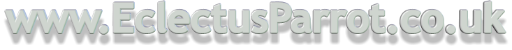 www.EclectusParrot.co.uk