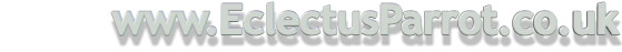 www.EclectusParrot.co.uk