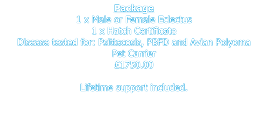 Package 1 x Male or Female Eclectus 1 x Hatch Certificate Disease tested for: Psittacosis, PBFD and Avian Polyoma  Pet Carrier £1750.00  Lifetime support included.